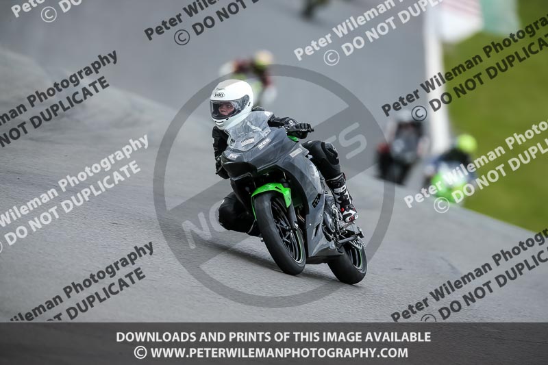 PJ Motorsport 2019;donington no limits trackday;donington park photographs;donington trackday photographs;no limits trackdays;peter wileman photography;trackday digital images;trackday photos